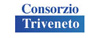 Consorzio Triveneto